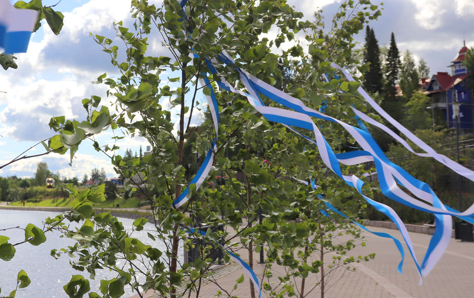 Suomen lipun värein koristellut juhannuskoivut Aleksin aukiolla ihmisiä  ilahduttamassa - Savonlinna